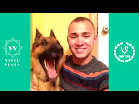 Best Funny and Cute Dog Vines Compilation November 2016