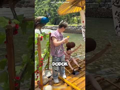 penampilan unik gagal total gara gara kursi nakal ‼️#shorts