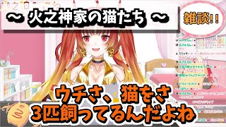 【雑談】火之神家の猫たち【AXEL-V/火之神ひこね】