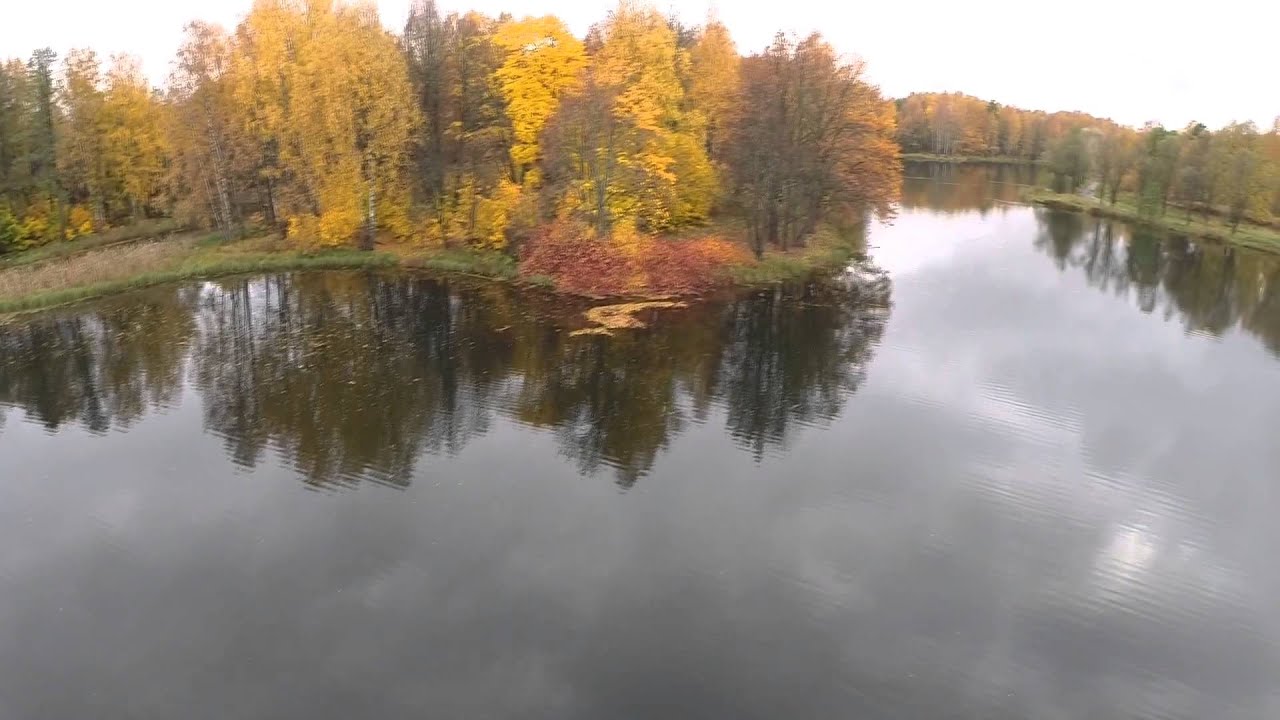 английский парк в петергофе