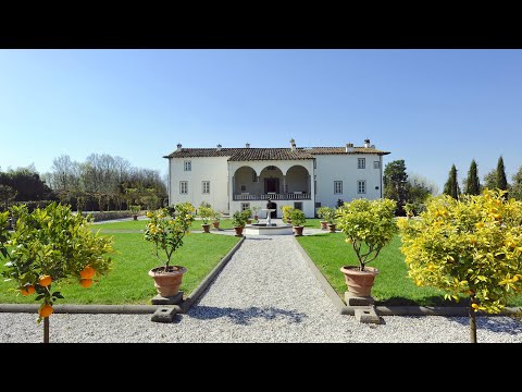 Property video