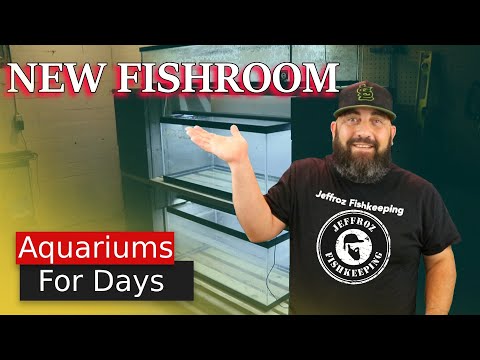 Im setting up an Aquarium fishroom in my Basement Thanks for stopping by my channel. In Today's video Im setting up an Aquarium fishroom in my Basemen