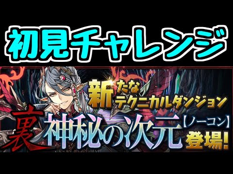【生放送】裏・神秘の次元 初見チャレンジ！【パズドラ】