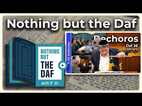CHAZARAH - Bechoros Daf 38 | "Nothing but the Daf" with R' Eli Stefansky