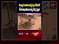 చిన్నారి జానూ అదృశ్యం కేసులో కీలక ఆధారంగా ఉన్న కుక్క మృతి..