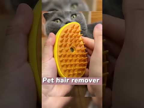 Adorable Kittens Meeting for the First Time 👋 🔗Link is in My Bio🐟 #HomeWithPets