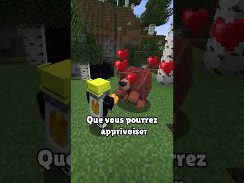 Marre de Mojang qui dort ?