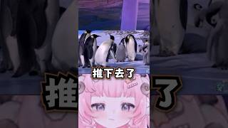 【烟花蹦蹦蹦】鯊魚!!