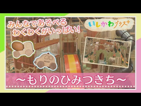 いしかわプラス+