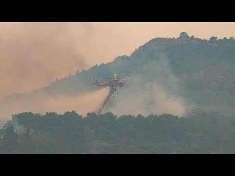 Πυρκαγιά στον Έβρο: Απανθρακωμένοι βρέθηκαν 18 μετανάστες κοντά στο δάσος της Δαδιάς…