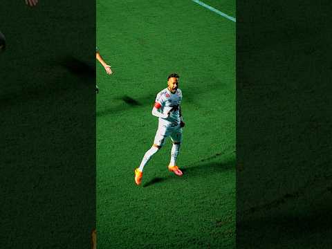 image para ilustrar o artigo