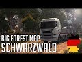 Schwarzwald v0.4