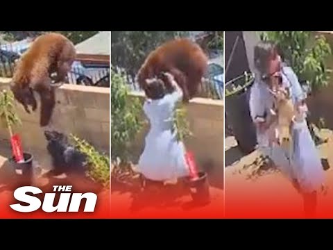 17-year-old girl pushes Bear off to save her pets, CCTV footage 17-year-old girl pushes Bear off to save her pets, CCTV footage