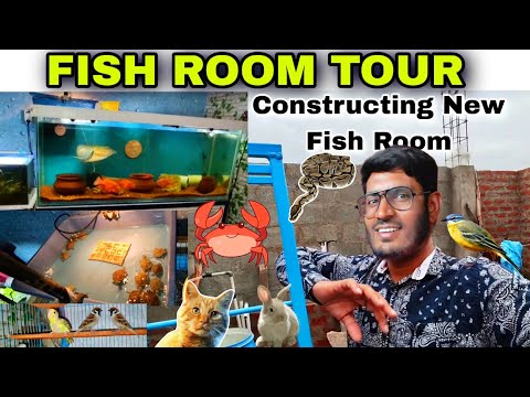 Fish Room Tour _ Constructing New Fish Room #Fishr Please Must subscribe to My back-up Channel
https_//youtu.be/4hXBVFzK8Ag

Please Subscribe To My Cha