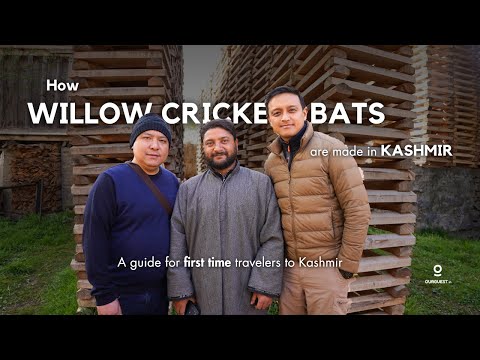 Day 3: The famous Willow Cricket Bats from Awantipora, Kashmir | A Journey into Craftsmanship