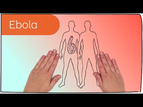 Video: Symptome des Ebola Virus