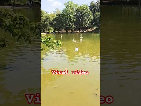 😍 TOO GOOD 😂 #sargunmehta and #ravidubey RECREATE #icecream song #couplegoals #shorts #dance