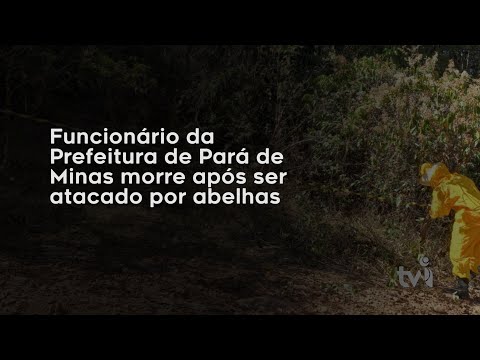 Vídeo: Funcionário da Prefeitura de Pará de Minas morre após ser atacado por abelhas