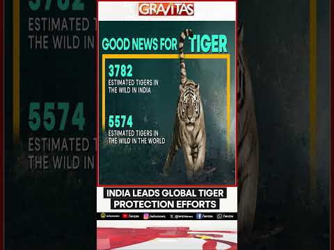 India Leads Global Tiger Protection Efforts | Gravitas | WION Shorts