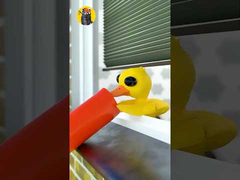 🦆 Vịt Con Uống Gì Thế?#duck #funnyvideo #shorts #experiment #hilarious #cuteduck #viralshorts
