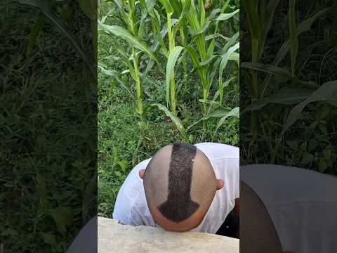 Bela & Cemong Iseng Banget! Kepala Jeki Sampai Kena Timpuk 😆 #shortvideo #shorts @jeki-BG