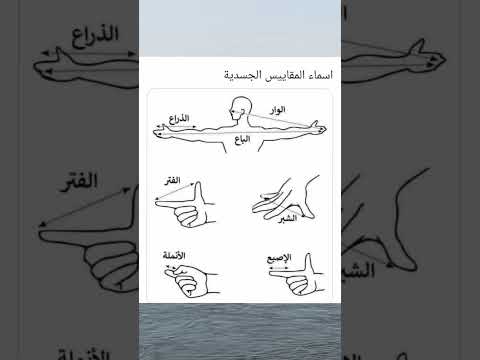 معلومات #اكسبلور #لايك #حكم #اقنباسات