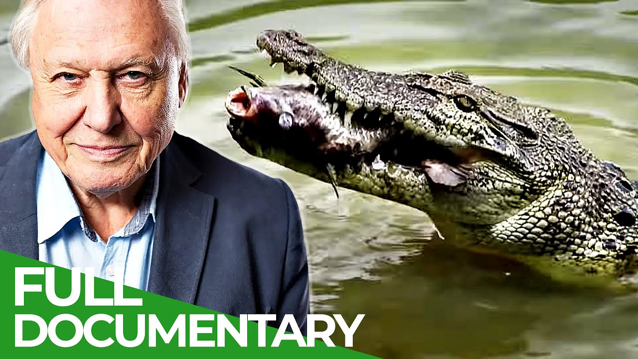 David Attenborough's Wild City | Episode 1: Hidden Wild | Free Documentary Nature