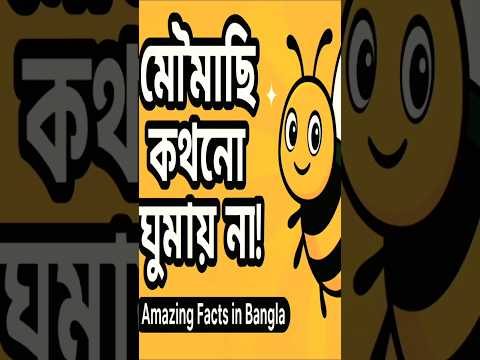 মৌমাছি কখনো ঘুমায় না! 😱 | Bees That Never Sleep! 🐝 #Shorts