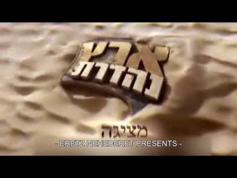 Zohi Sdom'