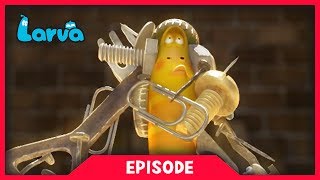 Larva - Magnet