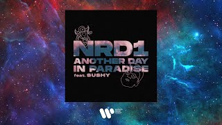 NRd1 feat. Sushy — Another day in Paradise | Official Audio