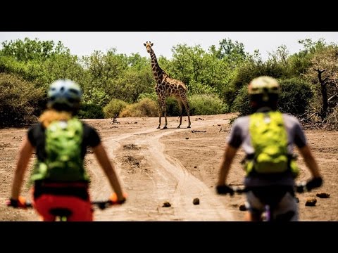 Botswana MTB Safari: Spotting African Wildlife by Bike