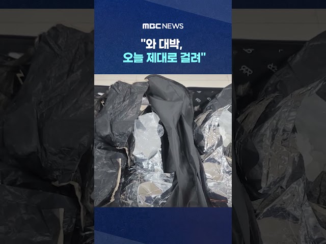 '보랏빛' 보자 난리난 세관 #Shorts (MBC뉴스)