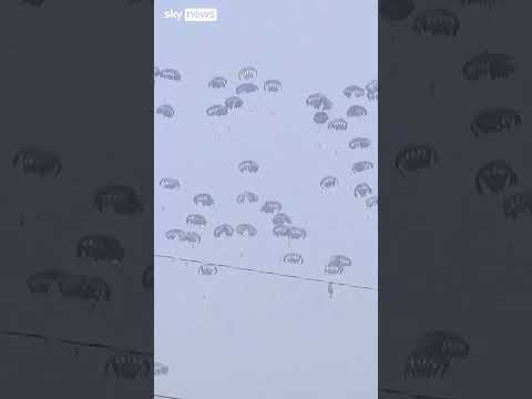 Aid airdropped over Gaza