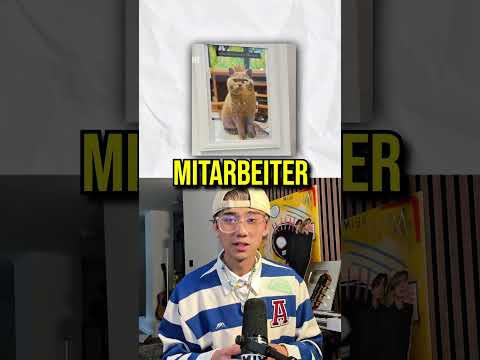 Der fleißigste Kater Deutschlands?? 😭 #youtubeshorts #2026 #lustig #singen #comedy #abba #remix