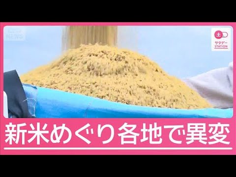 コメ価格過去最大の値上がりと新米の変化：農家や小売りの動きに注目 サムネイル