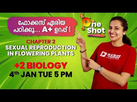 Plus Two Focus Area | Biology | Chapter -2| Sexual Reproduction in Flowering Plants | Revision Class