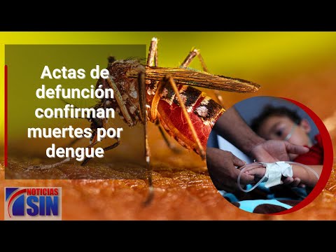 #EmisiónEstelarSIN: Frontera, dengue y ayuda