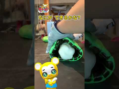 キャンディーの絵柄は何かわかるかな？★協力 : PAPABUBBLE★子供向け知育動画 #shorts