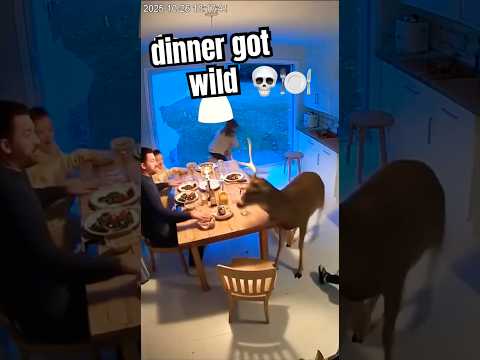Family Meal Took a Wild Turn 💀🍽️