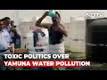 Watch: Official, targeted by BJP MP, bathes in "Non-Toxic" Yamuna water