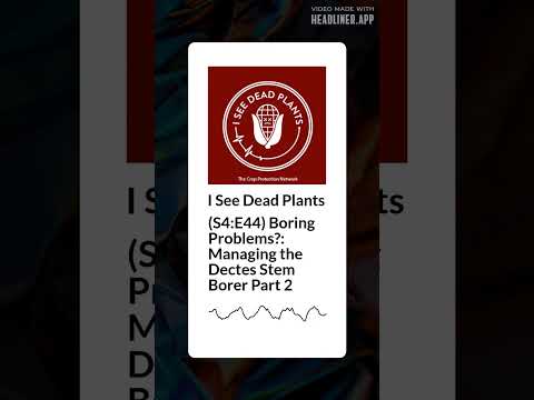 (S4:E44) Boring Problems?: Managing the Dectes Stem Borer Part 2 | I See Dead Plants