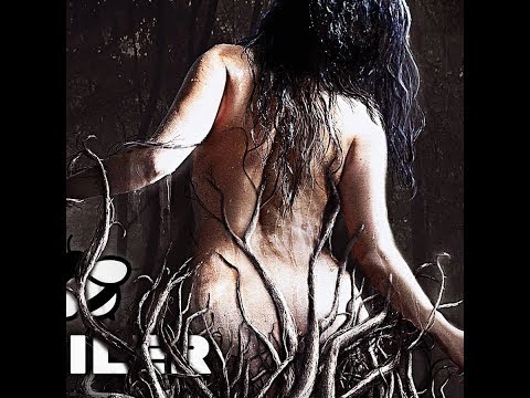Ayla'