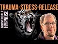 Trauma-Stress-Release durch nonverbale Hypnose  Neuro-Mesmerismus