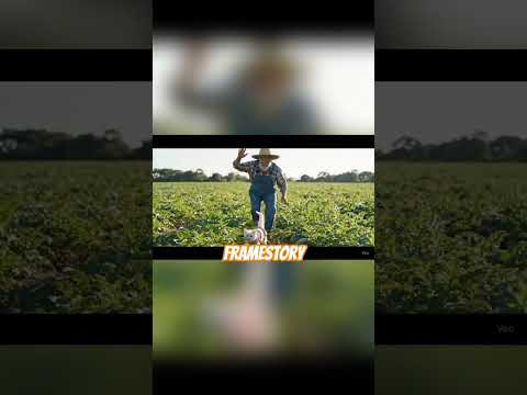 Maeow Lagi Main 🥳#cat #catshorts #catvideos #kitten #kucing #cats #catlovers #catlife