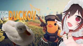 朝活ダッコフChill  クチバシ攻撃する子っていないよね? #escapefromduckov