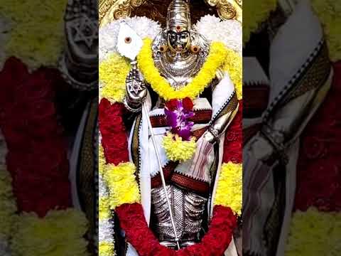 கந்தவேல் முருகனுக்கு அரோகரா🙏#tamil #tamilnadu #pondicherry #shortsviral #shorts #shortsvideo #shots
