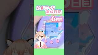 【たまごっちパラダイス】なんだこの石は！？かちかちヤング！！【古月アイル/Vtuber】#shorts