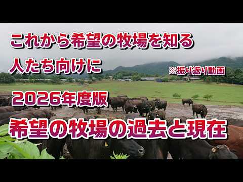これから知る、まだ知らない人向けに見て欲しい！希望の牧場はどうして生まれたのか？そして現在も続ける意味とは？振り返り動画2026年度版　　＃希望の牧場　＃被ばく牛