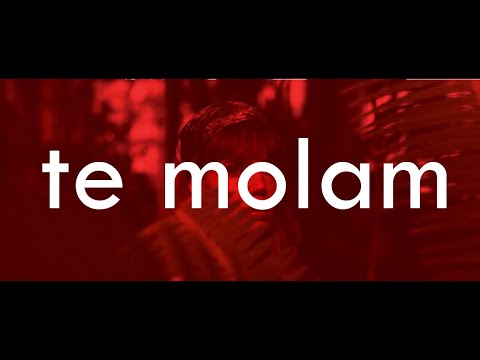 ANHELLITO - TE MOLAM 🙏🏽